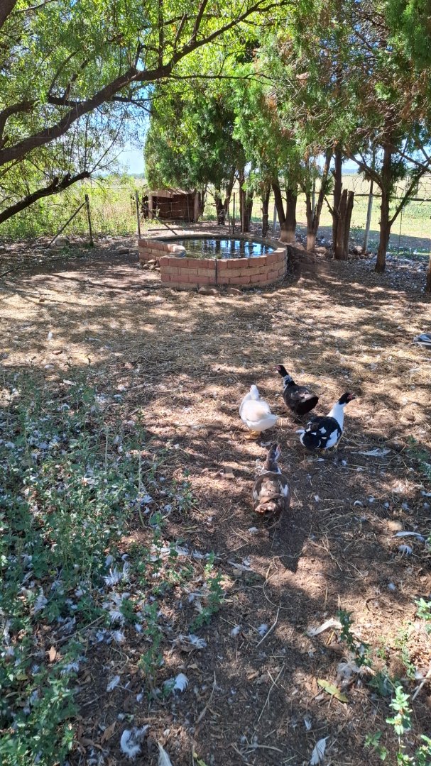 Commercial Property for Sale in Klerksdorp Rural North West